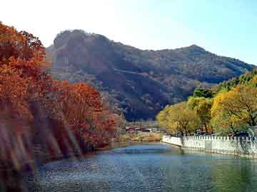 新澳天天开奖资料大全旅游团，现代都市玄幻小说